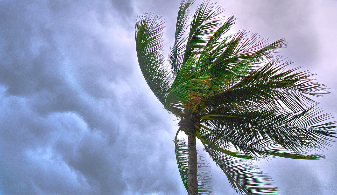 Météo : Pluies éparses et vent fort