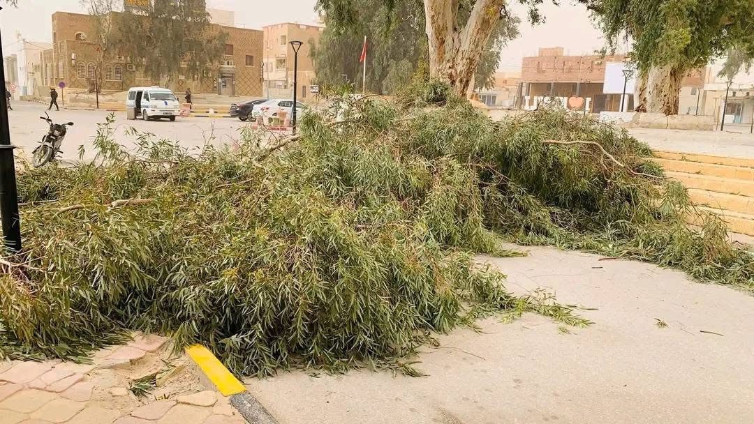 Kébili : des vents violents provoquent la chute d’arbres et...