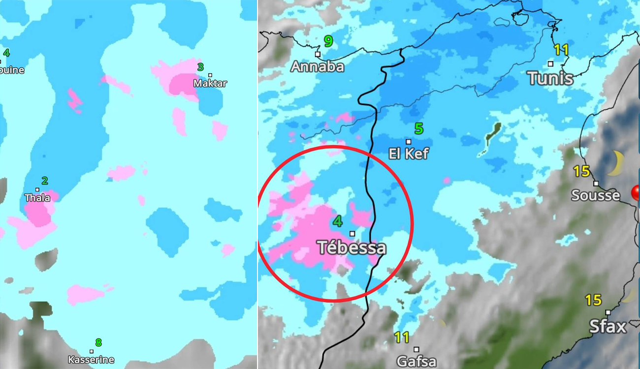 Chutes de neige sur les hauteurs de l’Ouest