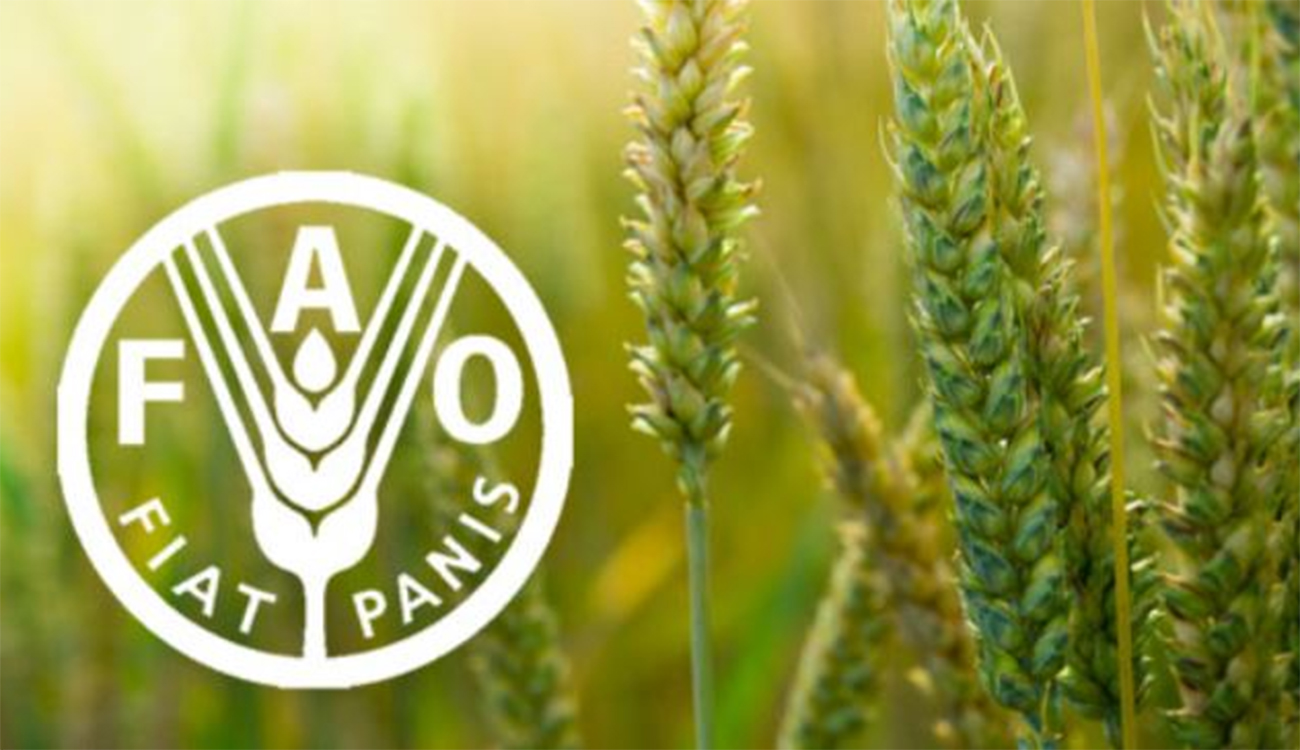 FAO – Indice des produits alimentaires en 2025 : En...