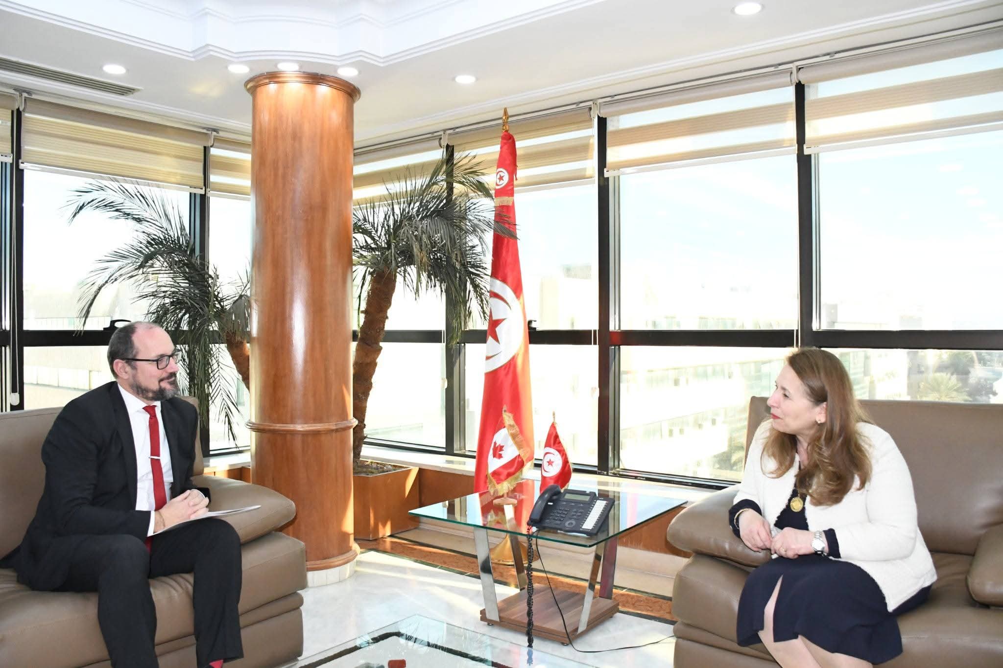 Tunisie-Canada : cap sur les exportations d’huile d’olive conditionnée