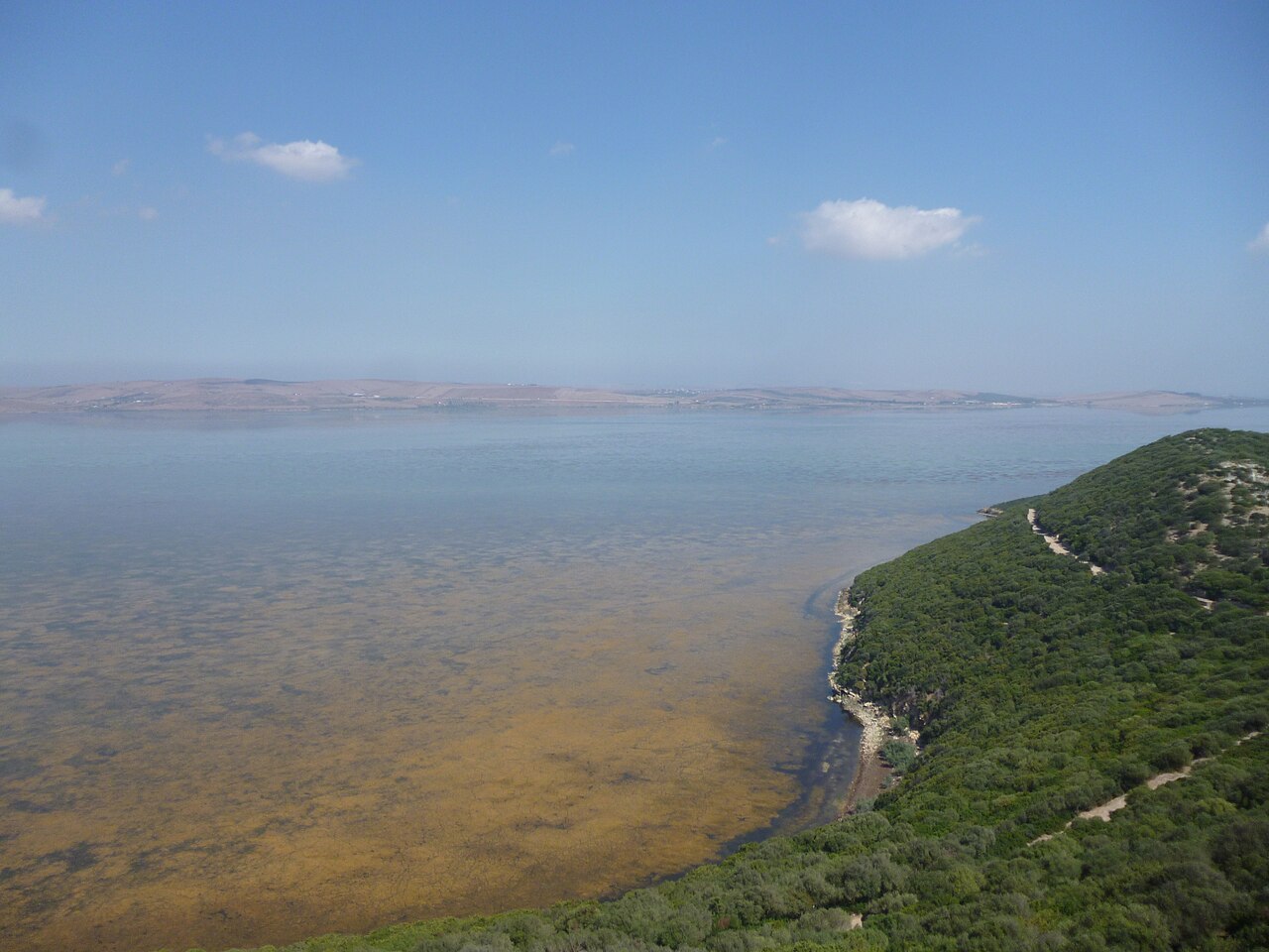 Le lac Ichkeul retrouve la vie après plus de 12...