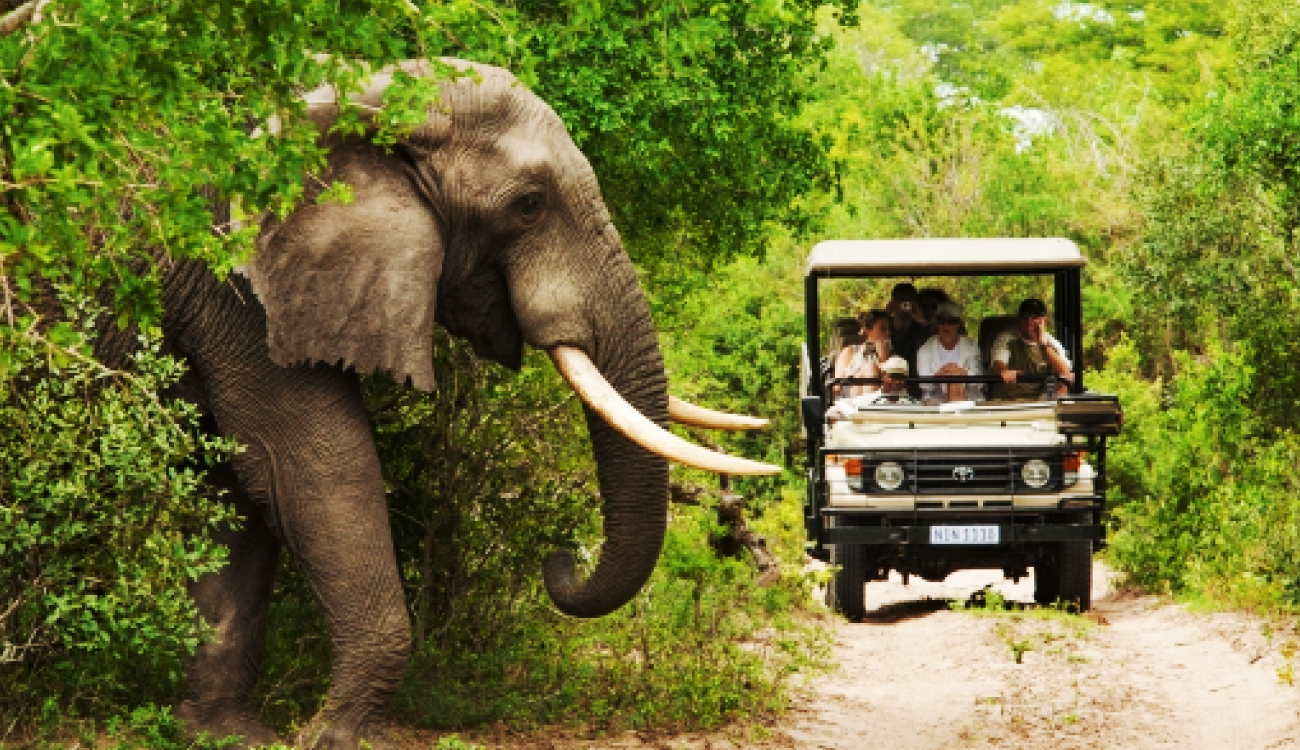 Reprise, investissements et transformation structurelle : Le tourisme africain change...