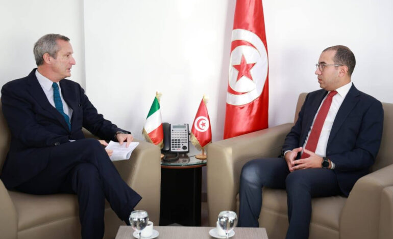Interconnexion électrique : l&rsquo;Italie réaffirme son soutien à la transition énergétique tunisienne
