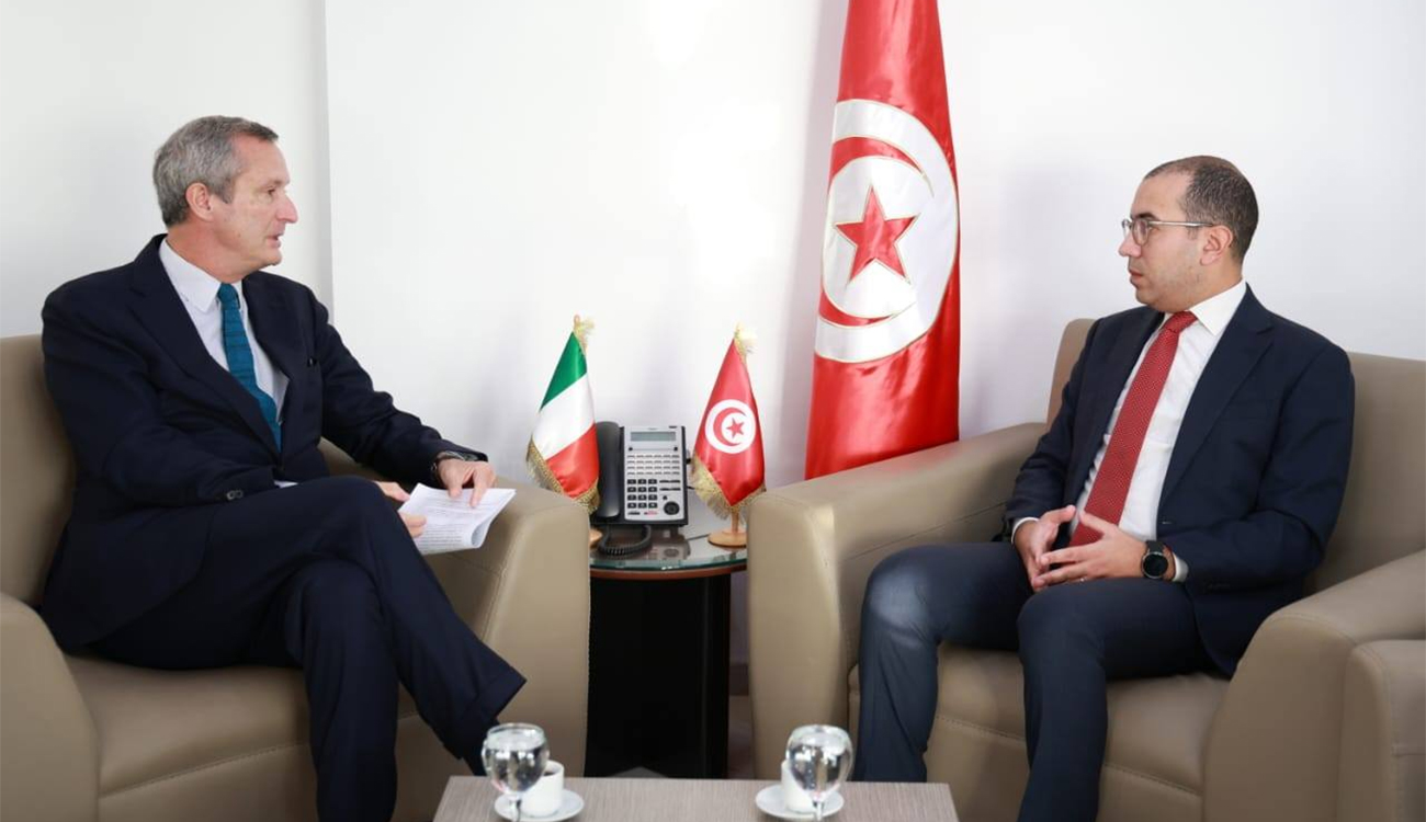 Interconnexion électrique : l&rsquo;Italie réaffirme son soutien à la transition...