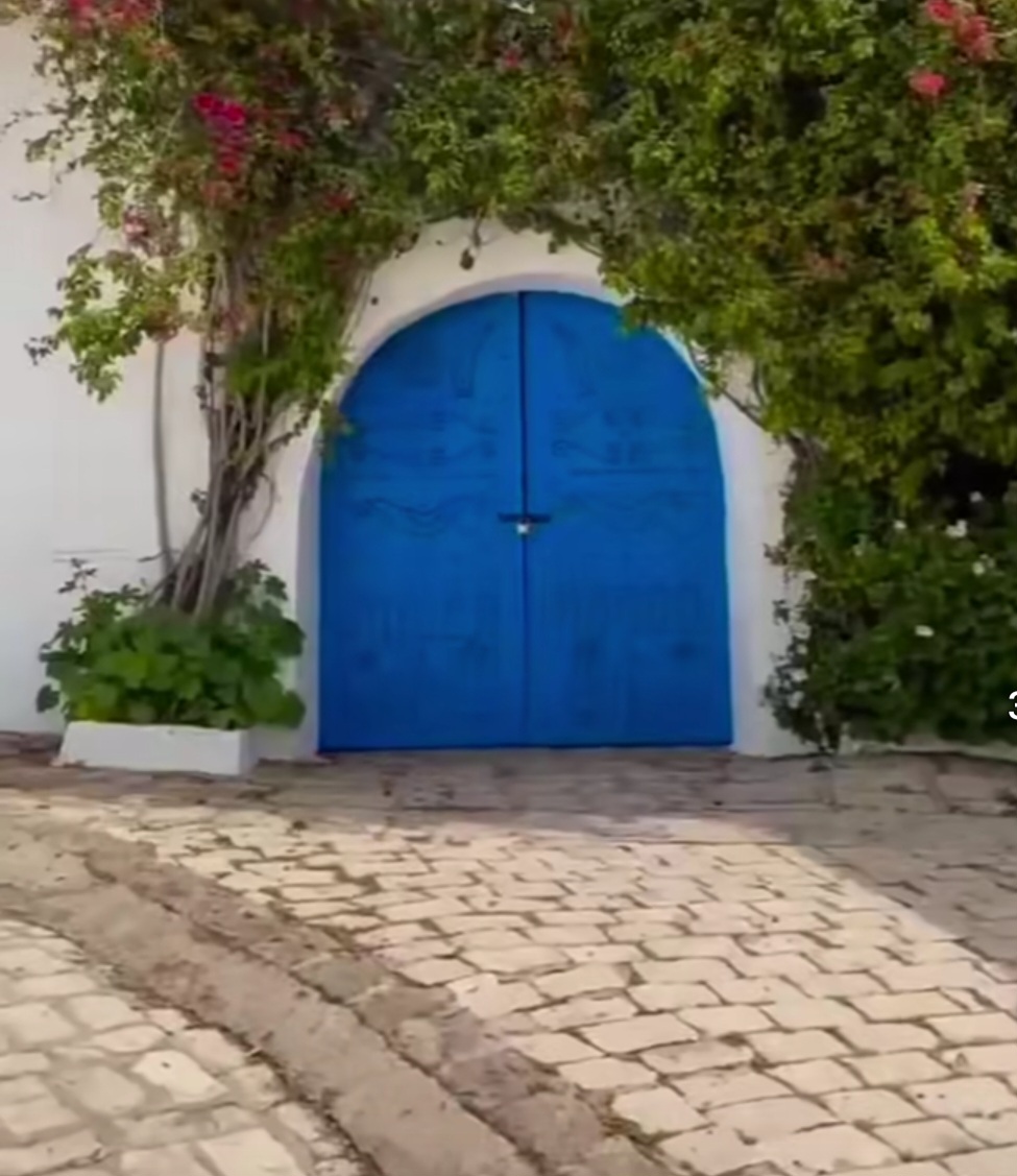 Un coin touristique à Sidi Bou Saïd s’effondre sous les...