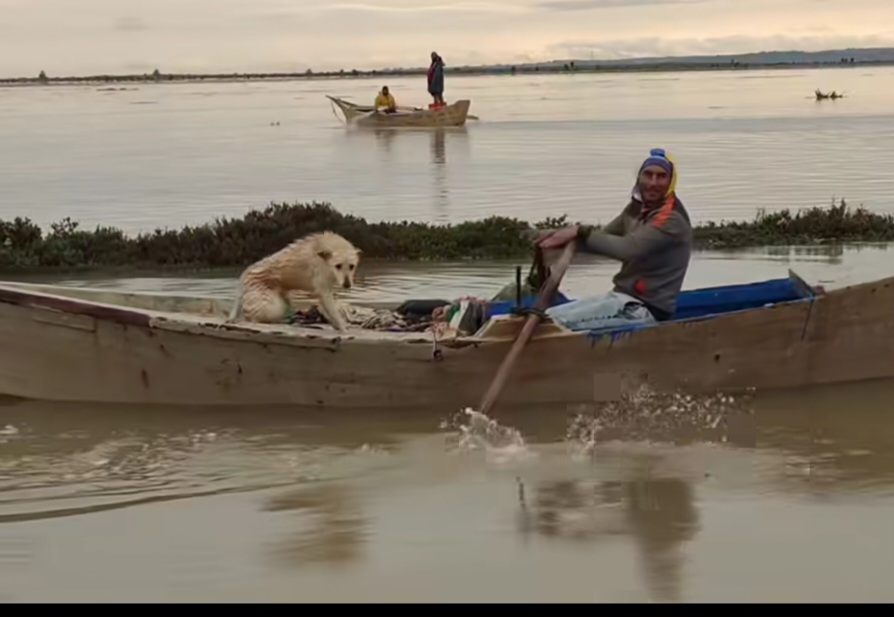 À Bouficha, un pêcheur brave les intempéries pour sauver un...