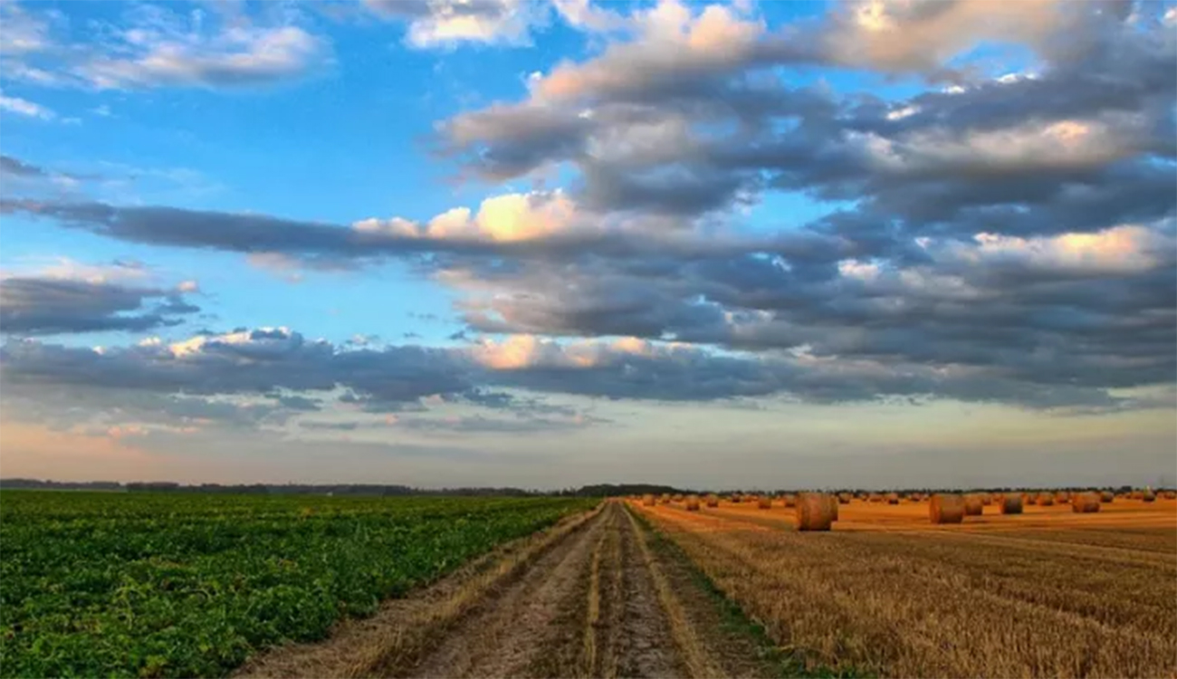 Entre ambitions et réalités : Faire avancer les projets malgré...