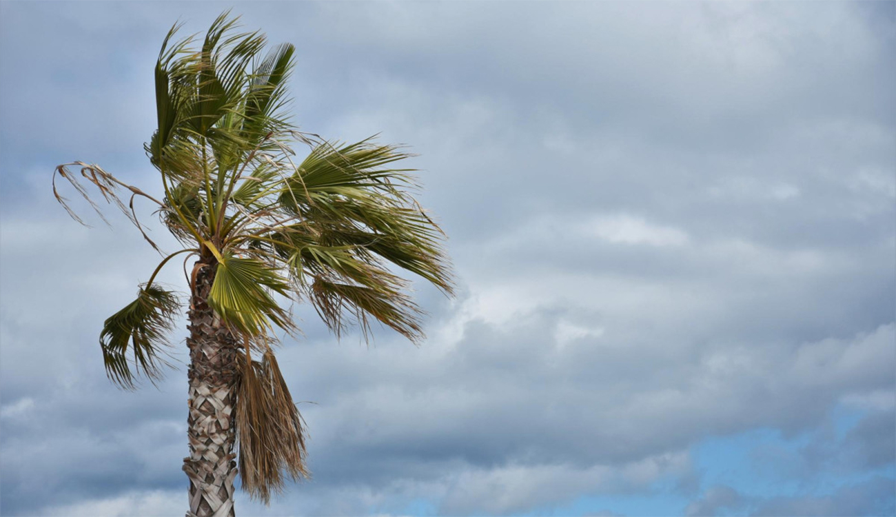 Algérie : pluies intenses et vents violents frappent une large...