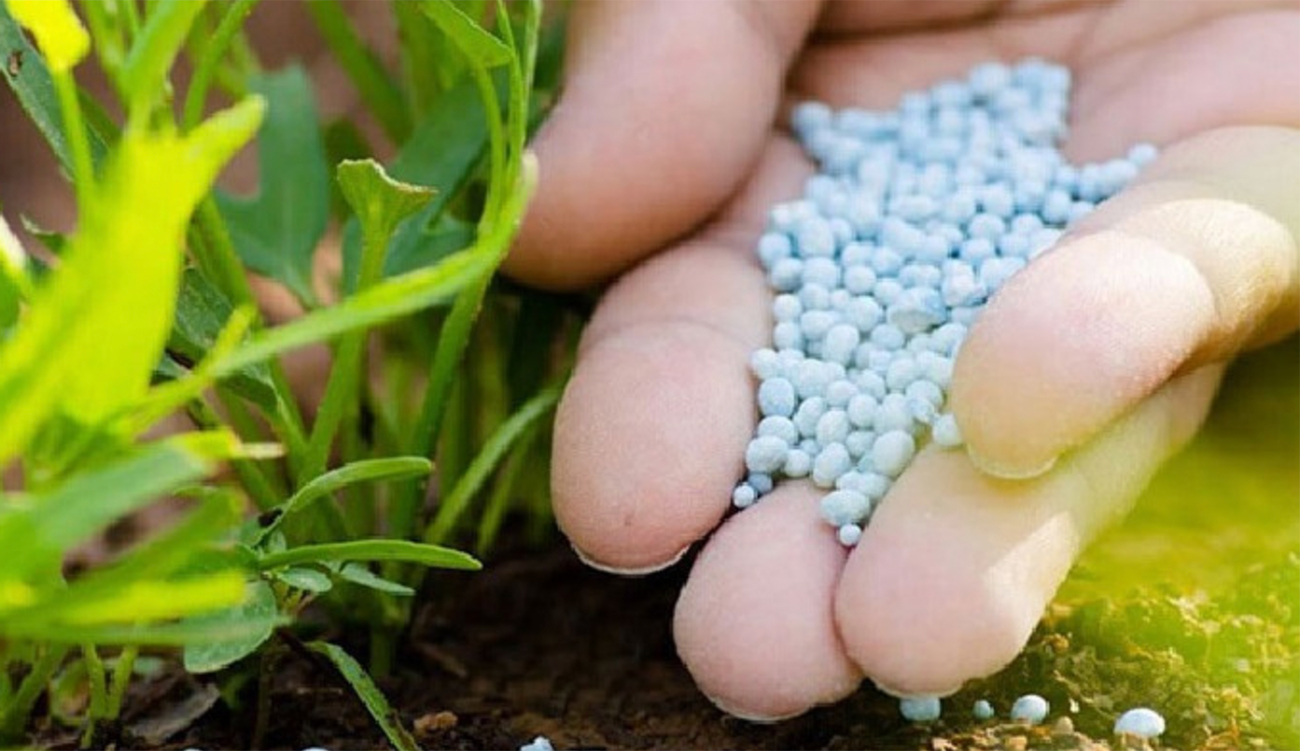 Arrivée de 60 tonnes d’ammonitre à Medjez el Bab pour...
