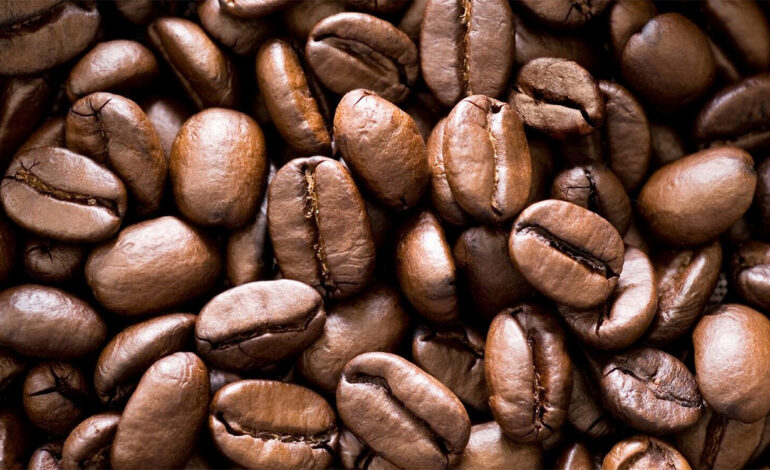 Rwanda : les exportations de café génèrent près de 150 millions de dollars en 2025