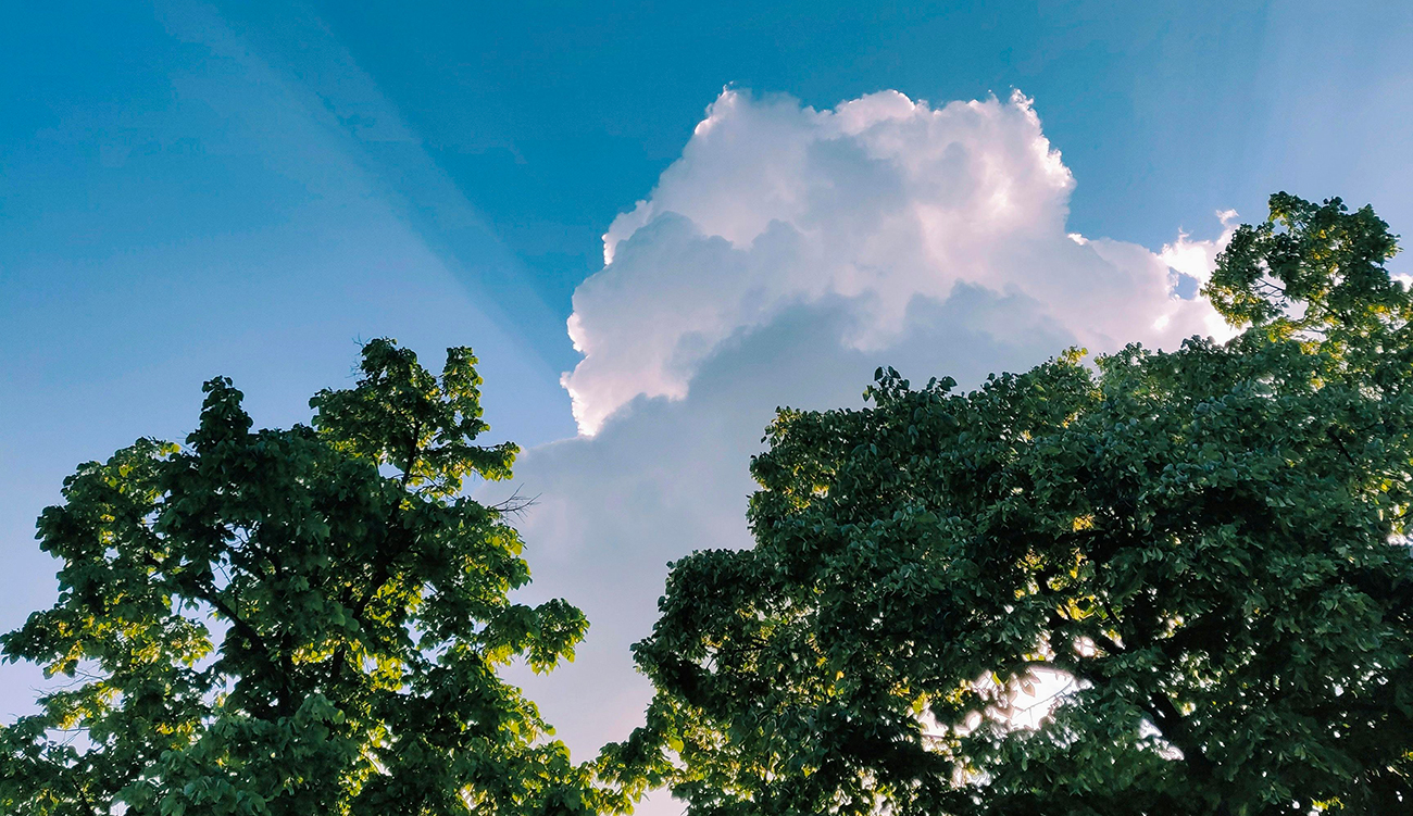 Météo : Une douceur hivernale avec des maximales à 24°C...