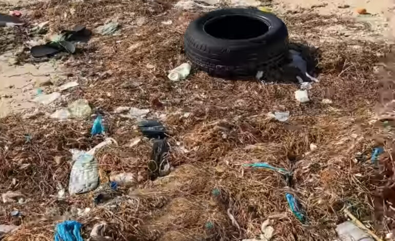 Déchets en plastique rejetés par la mer : « quand la nature se venge et reprend ses droits! »