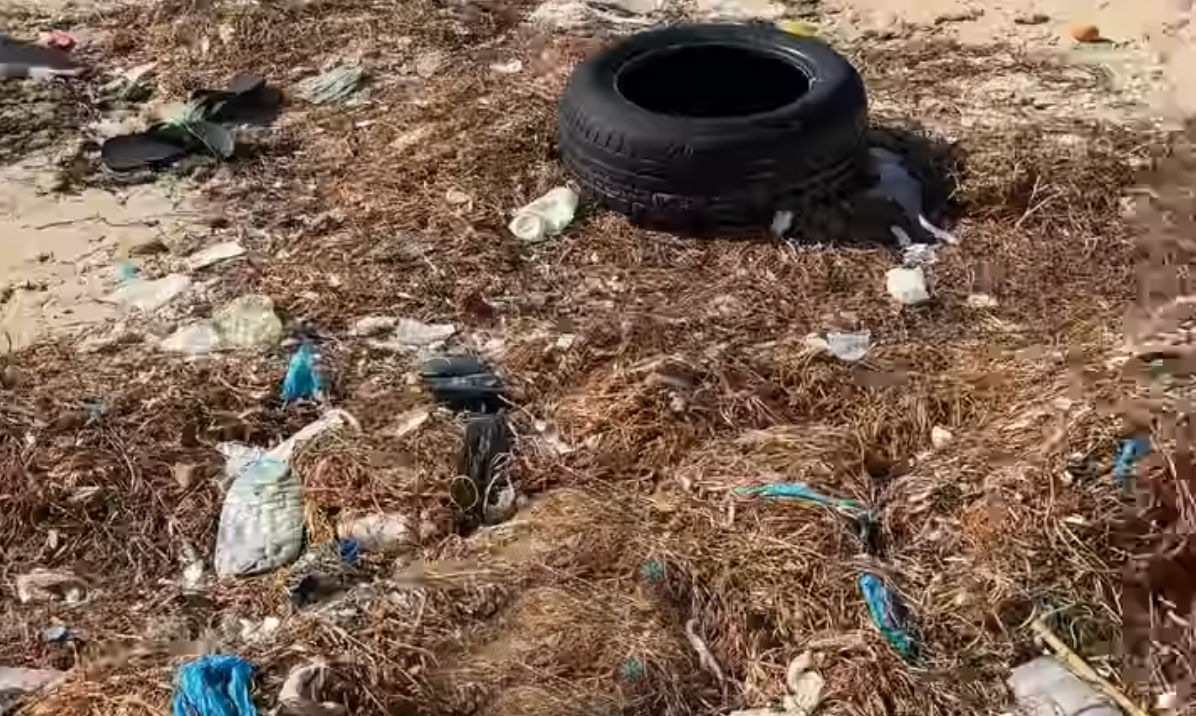 Déchets en plastique rejetés par la mer : « quand la...