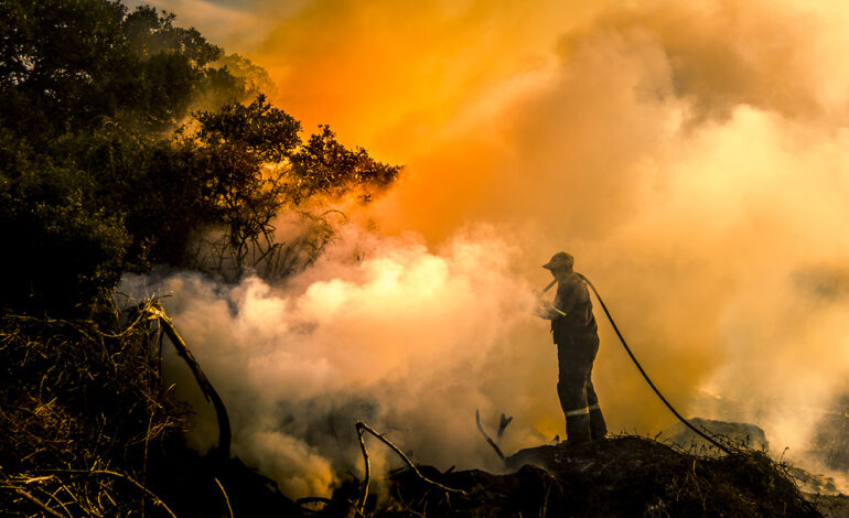 Incendies dévastateurs en Australie :  des milliers de foyers ravagés et plongés dans le noir