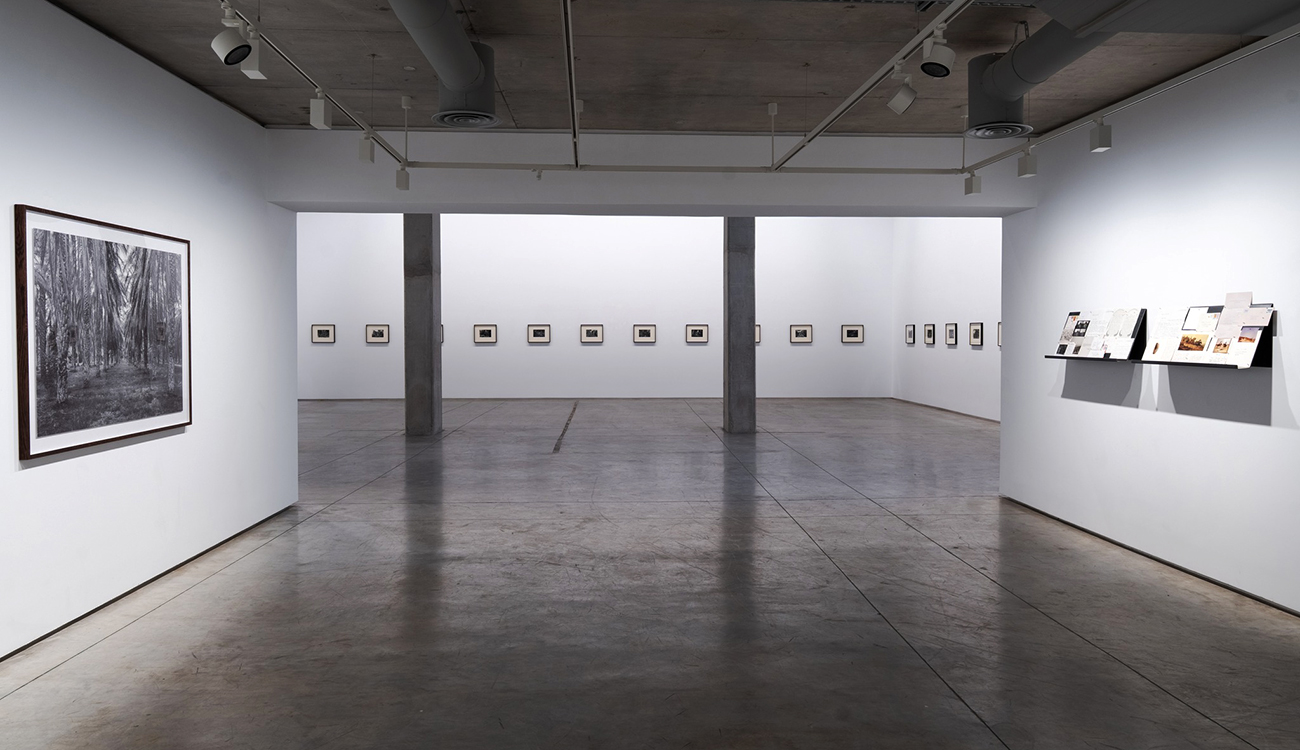 Jelel Gastli expose « Hortus » : Regarder en douce