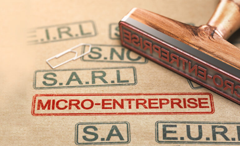 Microentreprises : Nombreuses et essentielles, mais encore vulnérables