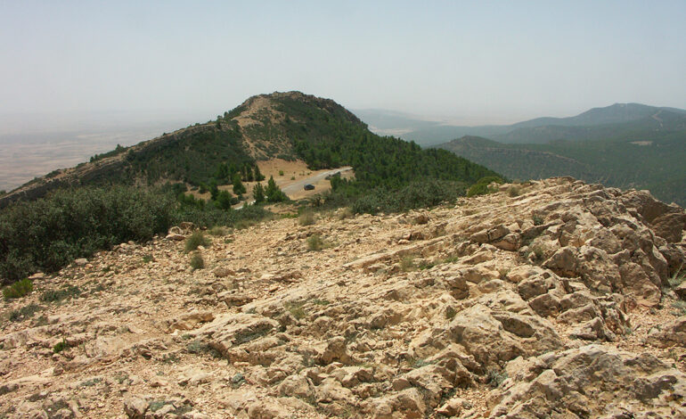 Kasserine : 200 familles vivant au pied du Mont Chaambi raccordés au réseau d&rsquo;eau potable
