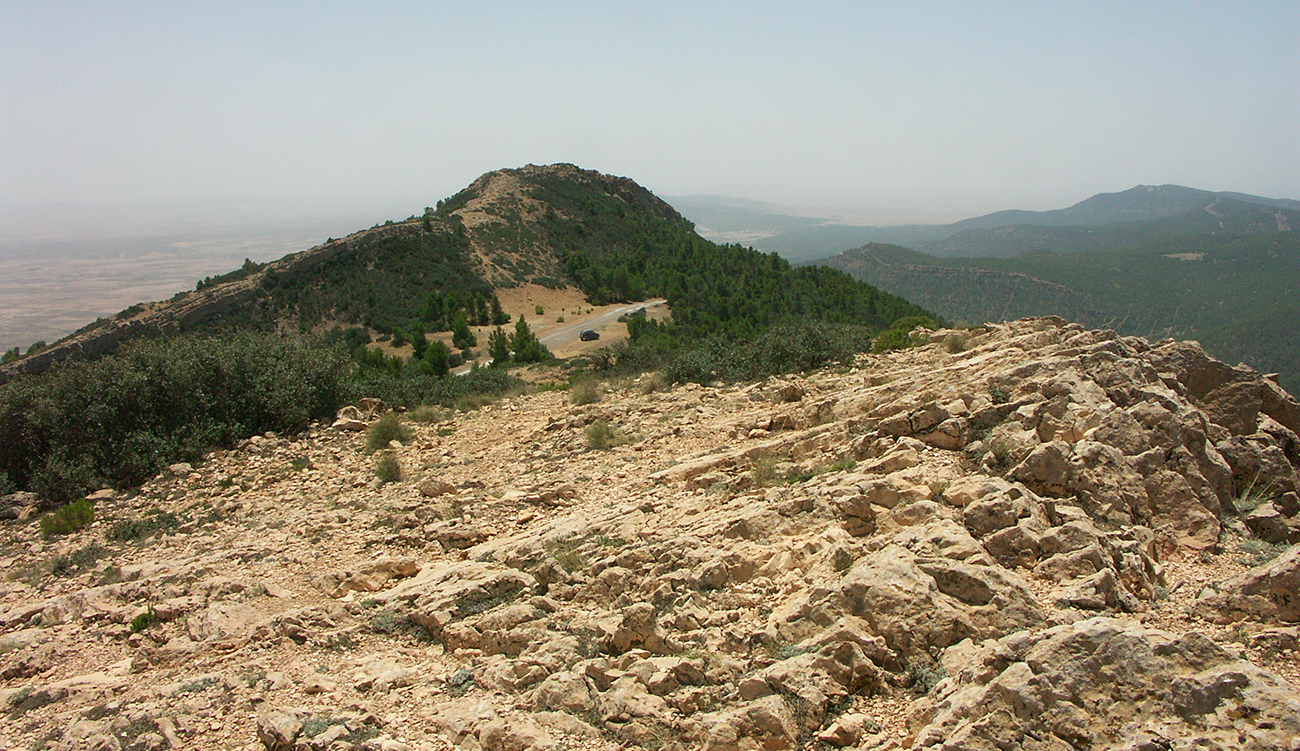 Kasserine : 200 familles vivant au pied du Mont Chaambi...