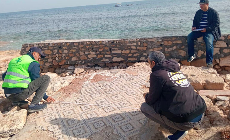 Salakta : une campagne de prospection archéologique lancée aux abords du musée