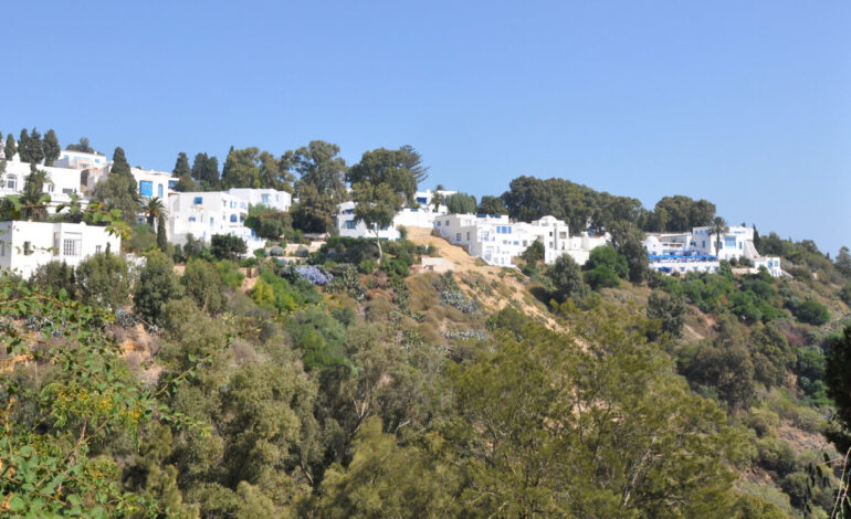 Glissements de terrain : Sidi Bou Saïd au bord de l’effondrement ?