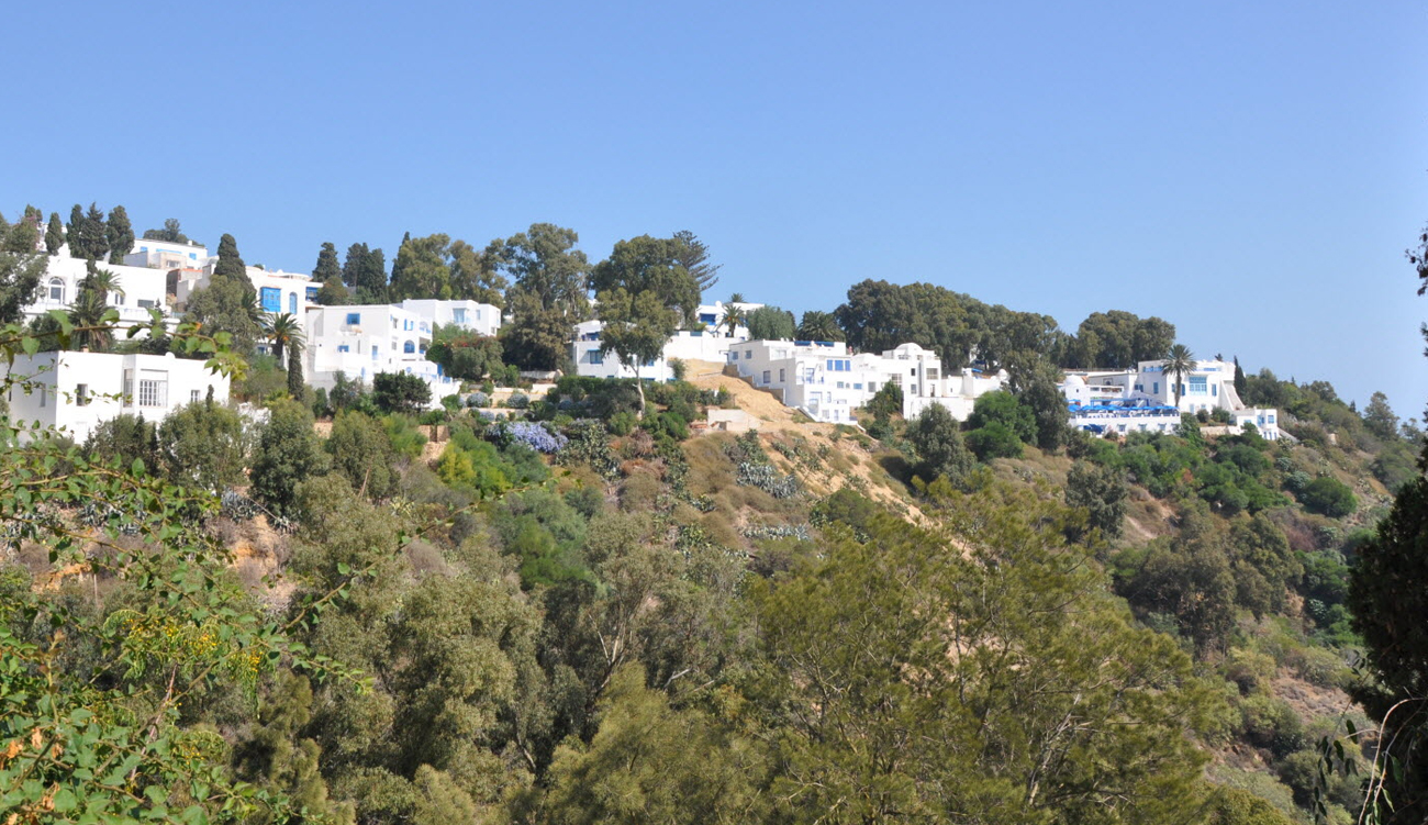 Glissements de terrain : Sidi Bou Saïd au bord de...