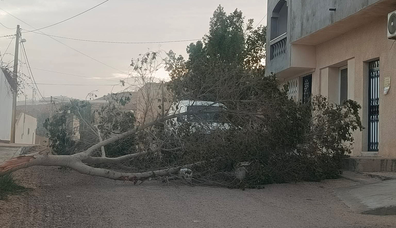 Tataouine : chutes d&rsquo;arbres et coupures d&rsquo;électricité suite à des...
