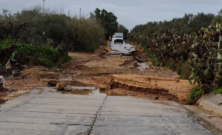 Michket Slama Khaldi : le coût des catastrophes naturelles majeures pourrait atteindre 1,9 % du PIB