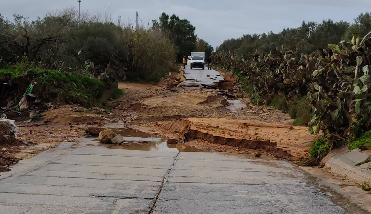 Tazarka sous la tempête : les dégâts en photos