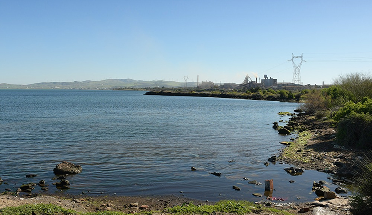 Démarrage des travaux de réhabilitation de l’ancienne décharge de Menzel...