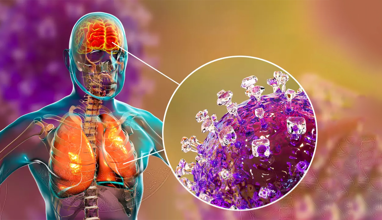 Inde : 5 cas de virus Nipah et 100 personnes...