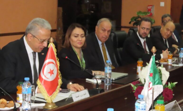 Digitalisation, transplantation, génomique: la Tunisie et l’Algérie accélèrent leur coopération sanitaire