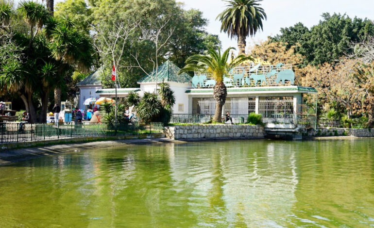 Les Amis du Belvédère lance « Art et Nature » pour la sauvegarde du parc