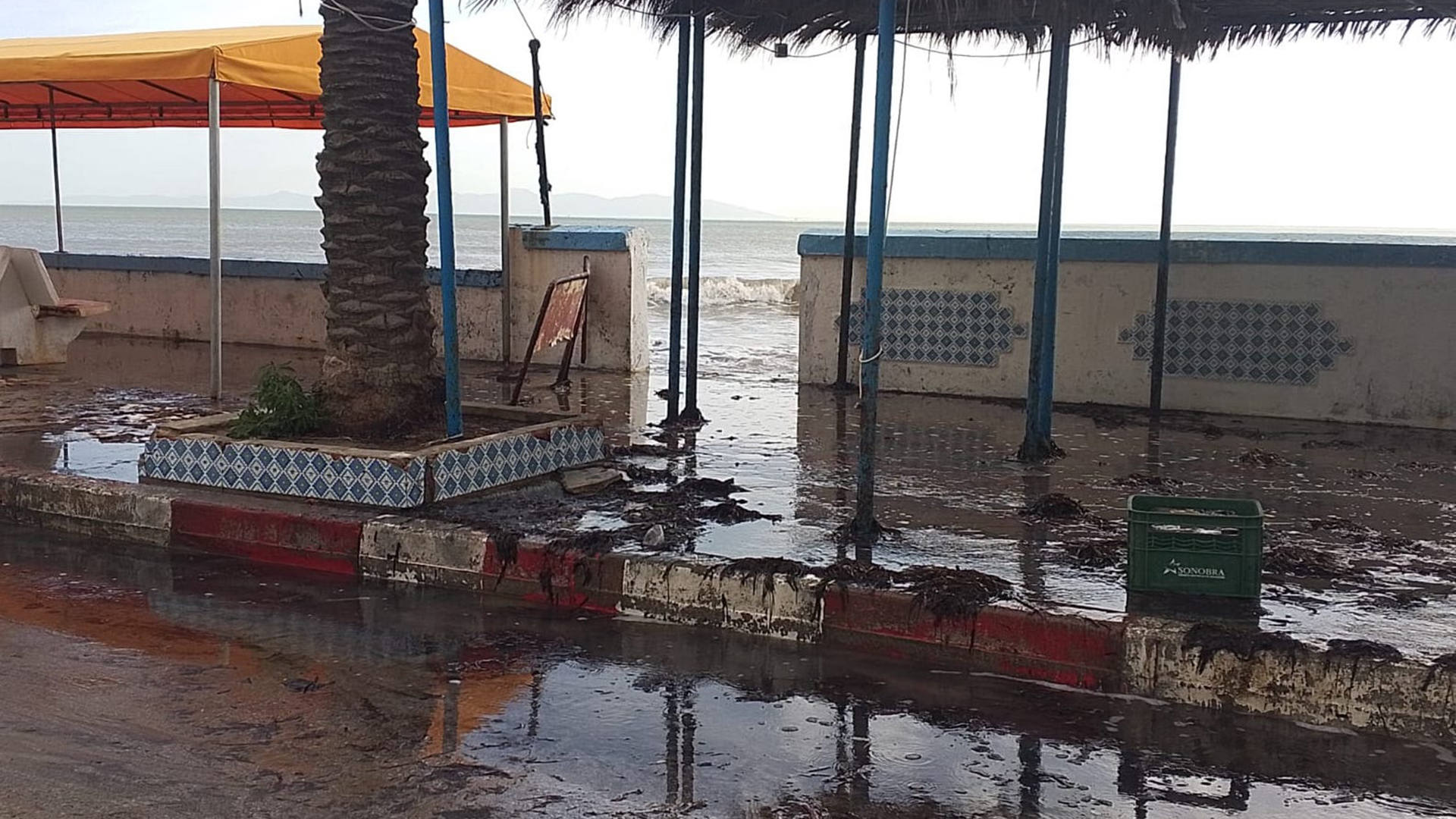 La Goulette : La mer reprend lentement mais sûrement ses...