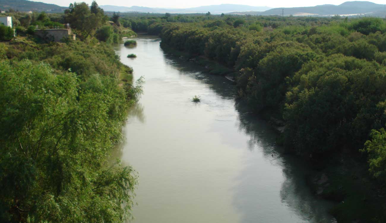 Avertissement aux habitants de Manouba : le oued Mejerda en...