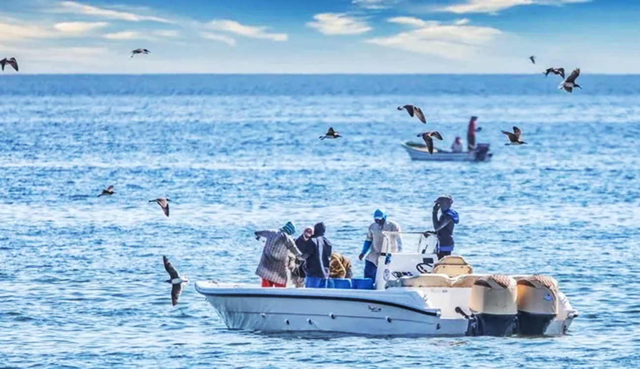 Projet « Bleu Radès » pour une pêche artisanale durable : Tout...