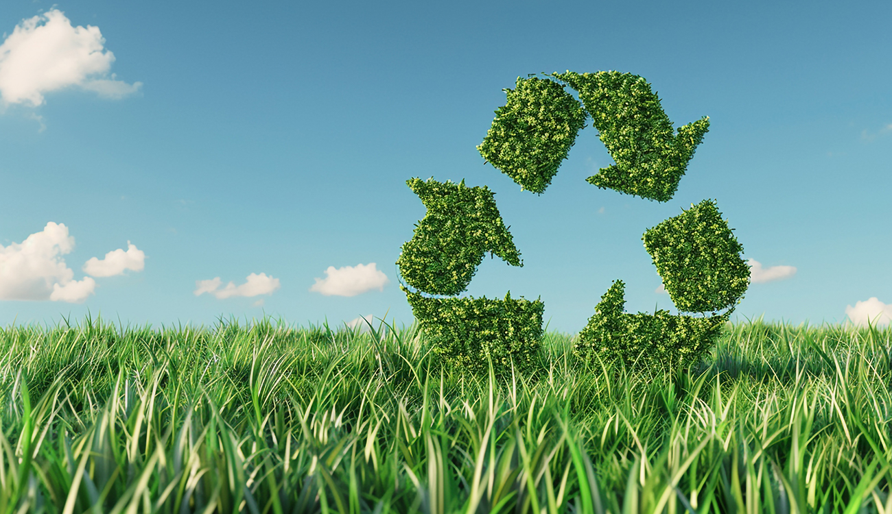 Transition écologique : Une opportunité économique majeure pour l’entrepreneuriat