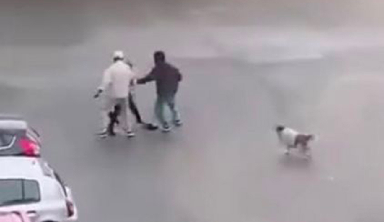 Agression filmée à La Soukra : les zones d’ombre d’un...