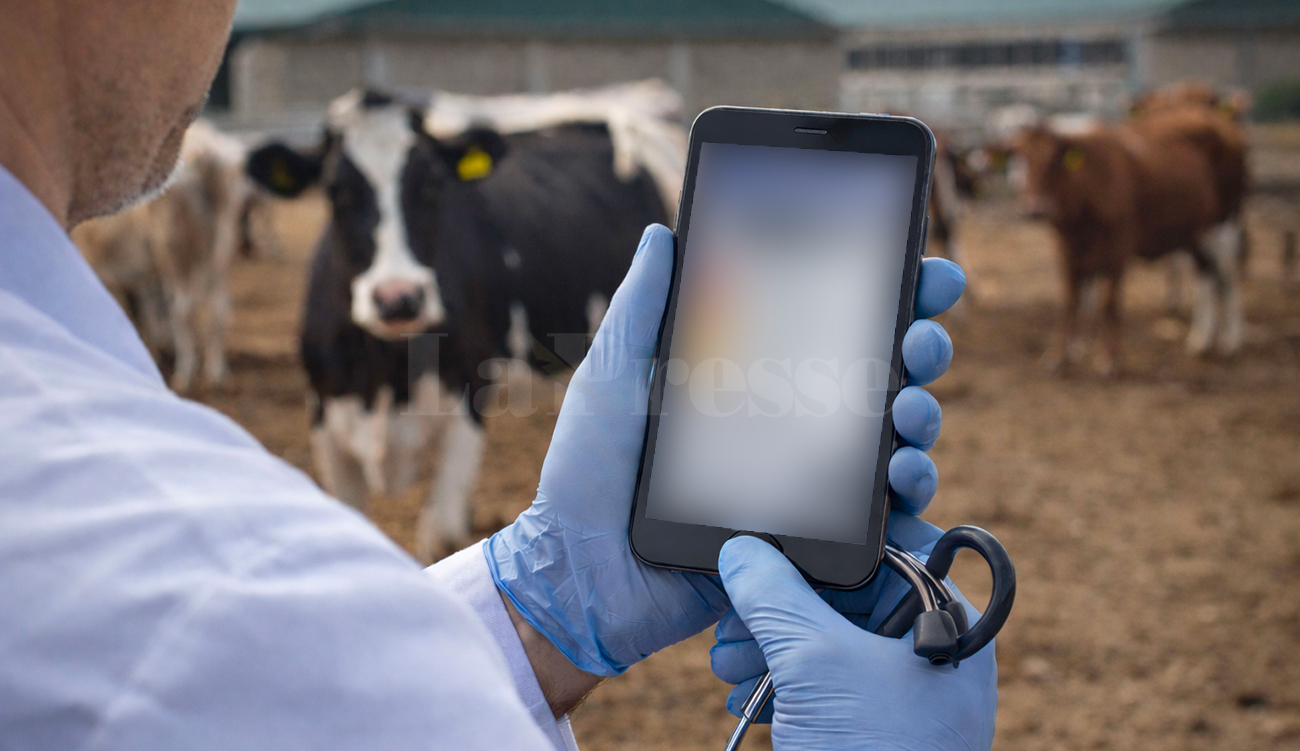 EMA-i+ : futur bouclier contre les maladies animales et zoonotiques...