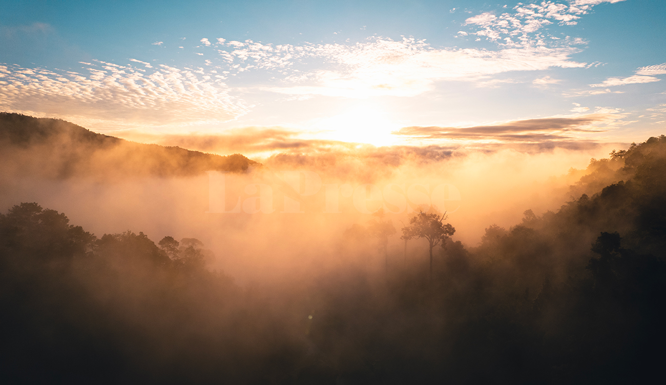 Brume matinale et températures douces