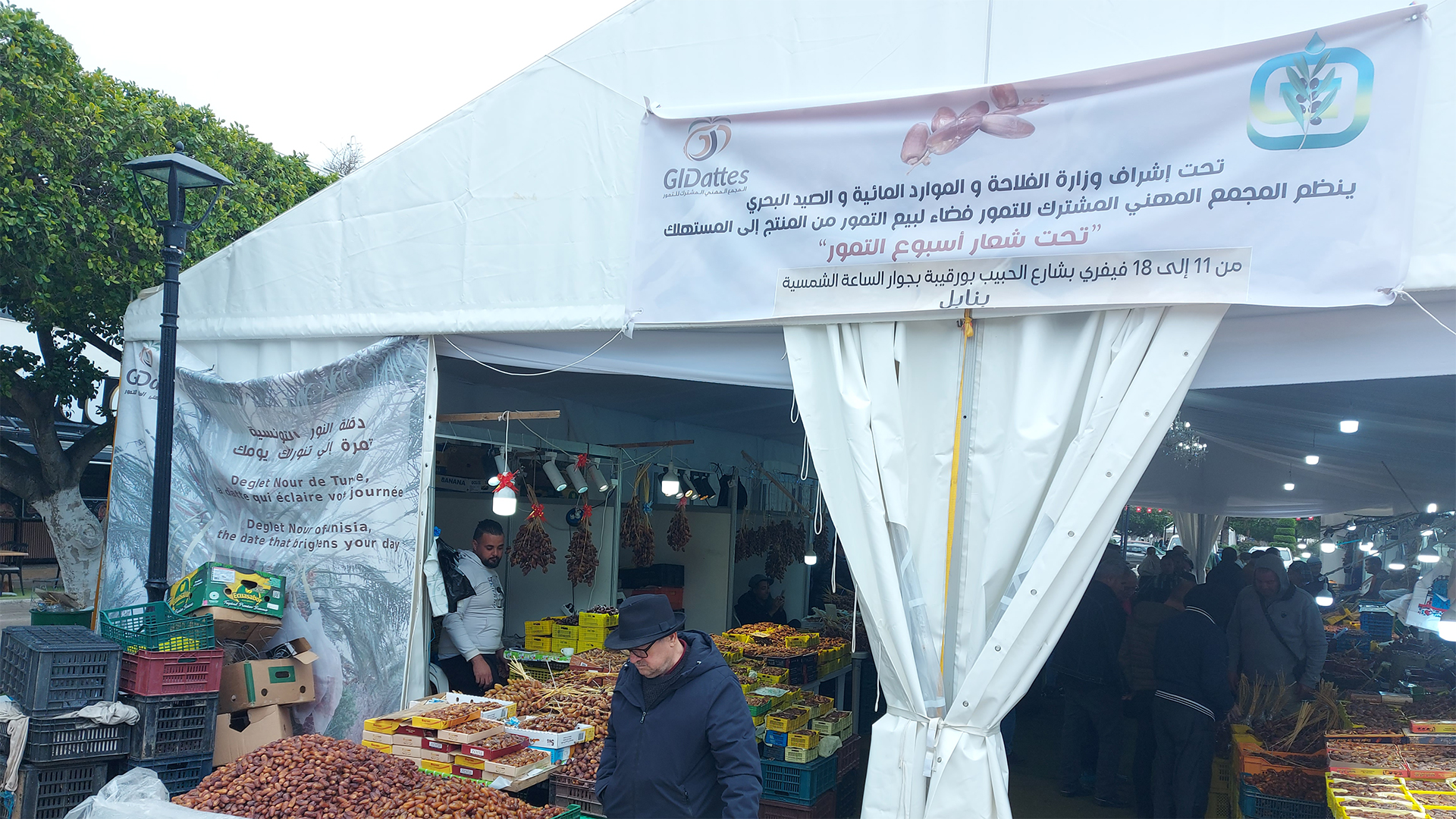 Reportage — « Semaine des dattes » du groupement interprofessionel des dattes...