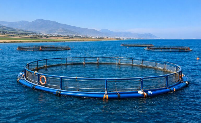 Tunisie : Le troisième district devient-il le nouveau pôle agricole du pays ?