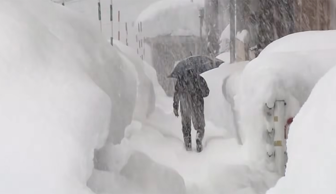 Japon : au moins 30 morts après des chutes de...