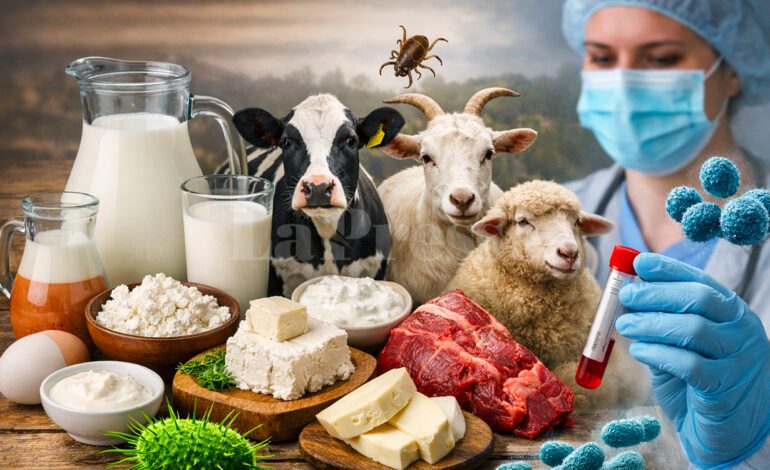 Les vétérinaires persistent : attention aux maladies transmissibles de l’animal à l’homme !