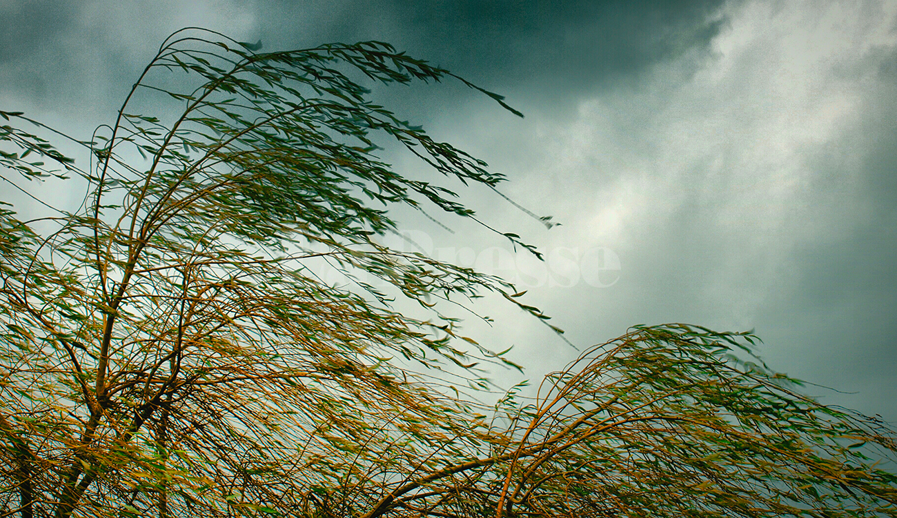 Tunisie : pluies éparses, vents violents et mer très agitée