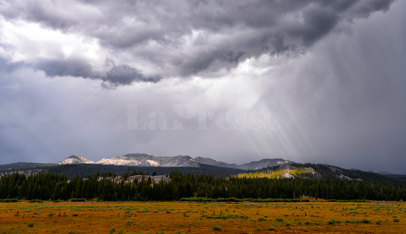 Alerte Météo : Pluies orageuses et rafales à 80 km/h...
