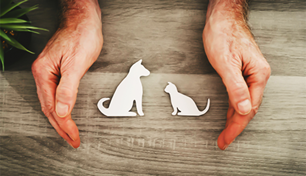 Protection animale : une initiative citoyenne appelle à la criminalisation...