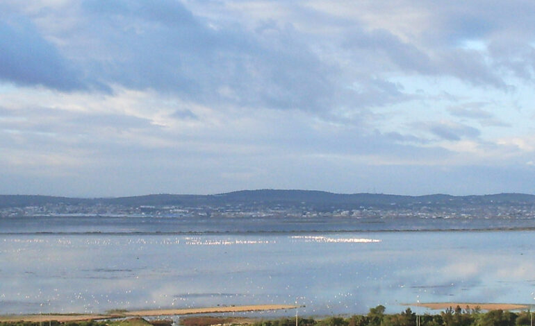 Tunis lance une opération aérienne de lutte contre les insectes