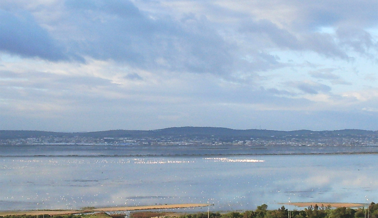 Séjoumi : un projet pour transformer la sebkha en poumon...