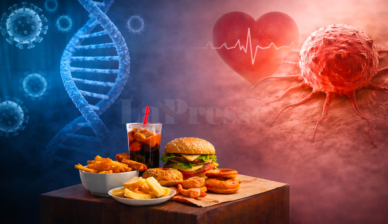 Baisse d&rsquo;immunité, obésité et cancer : les dangers méconnus du...